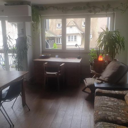 Apartmán La Puisatiere 80 M2 Štrasburk Exteriér fotografie