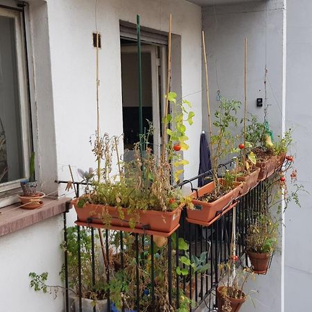 Apartmán La Puisatiere 80 M2 Štrasburk Exteriér fotografie