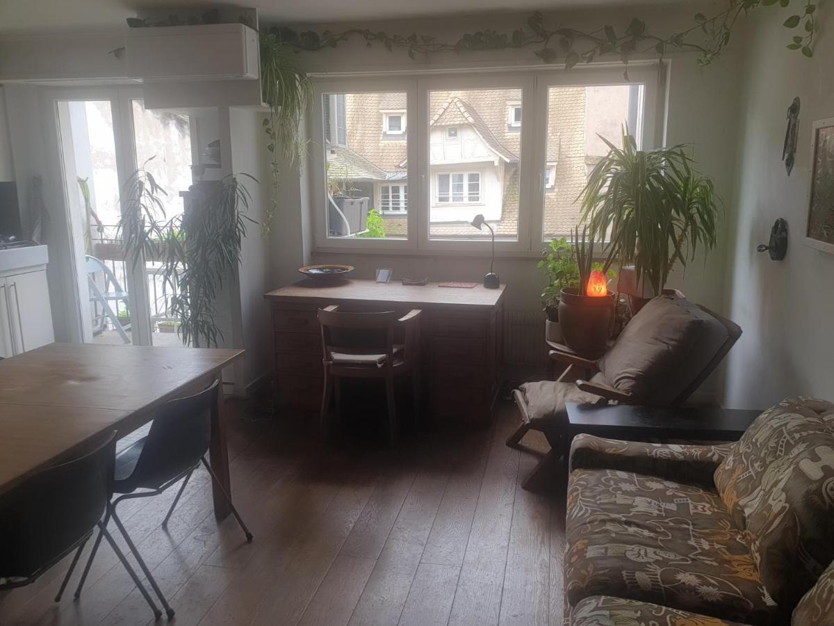 Apartmán La Puisatiere 80 M2 Štrasburk Exteriér fotografie
