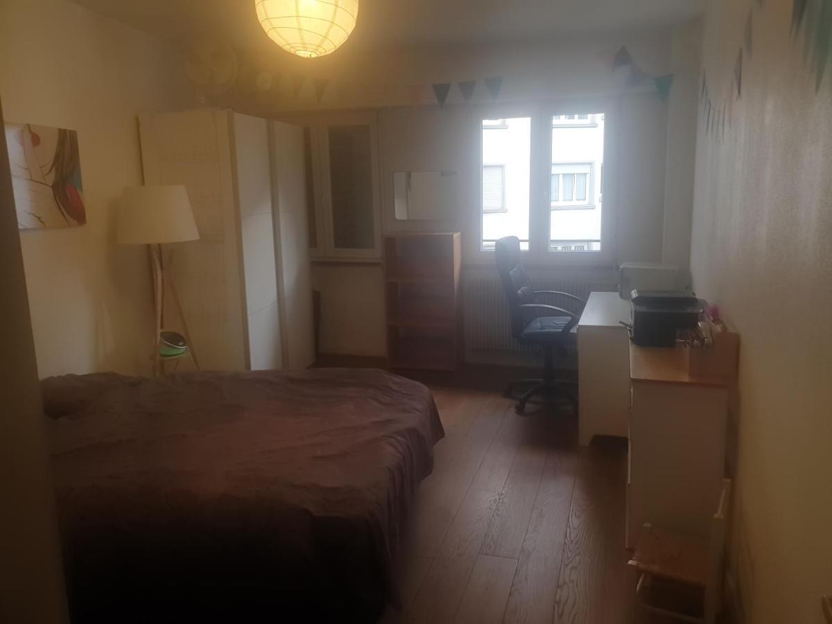 Apartmán La Puisatiere 80 M2 Štrasburk Exteriér fotografie