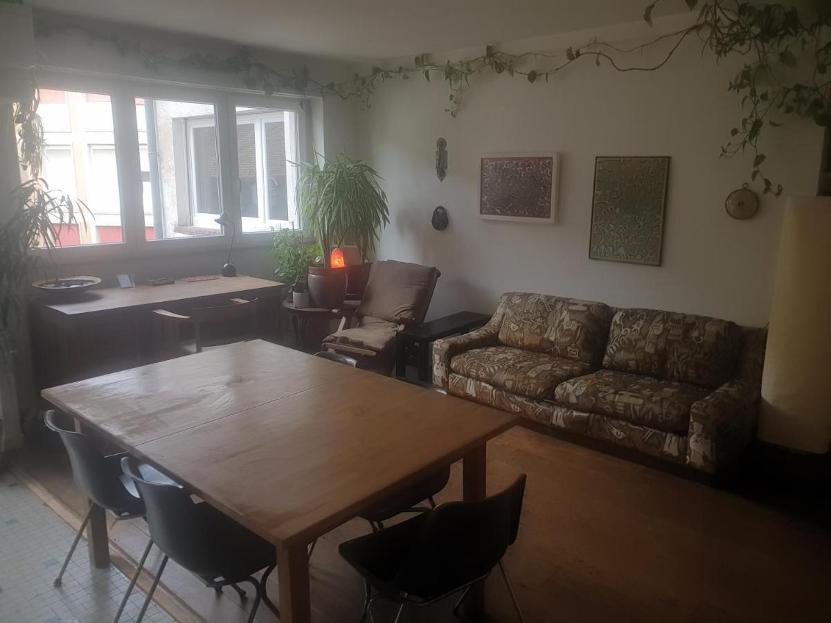 Apartmán La Puisatiere 80 M2 Štrasburk Exteriér fotografie