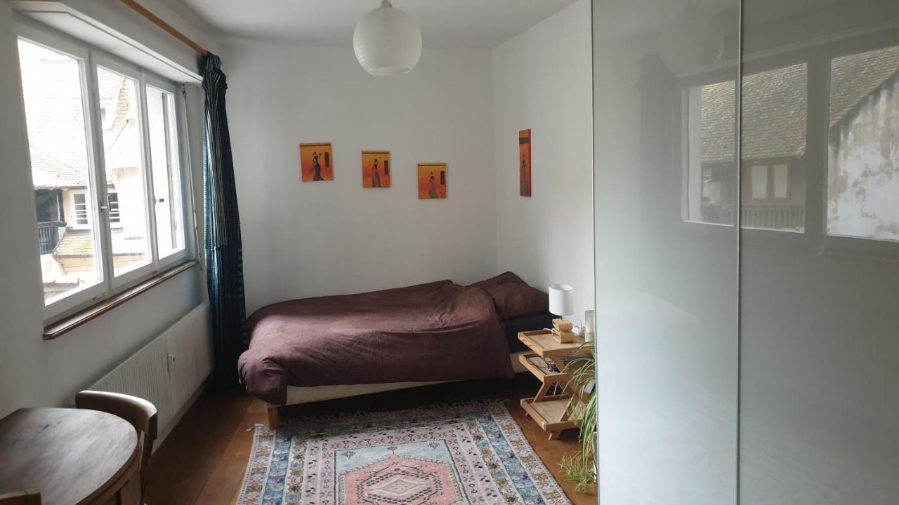 Apartmán La Puisatiere 80 M2 Štrasburk Exteriér fotografie