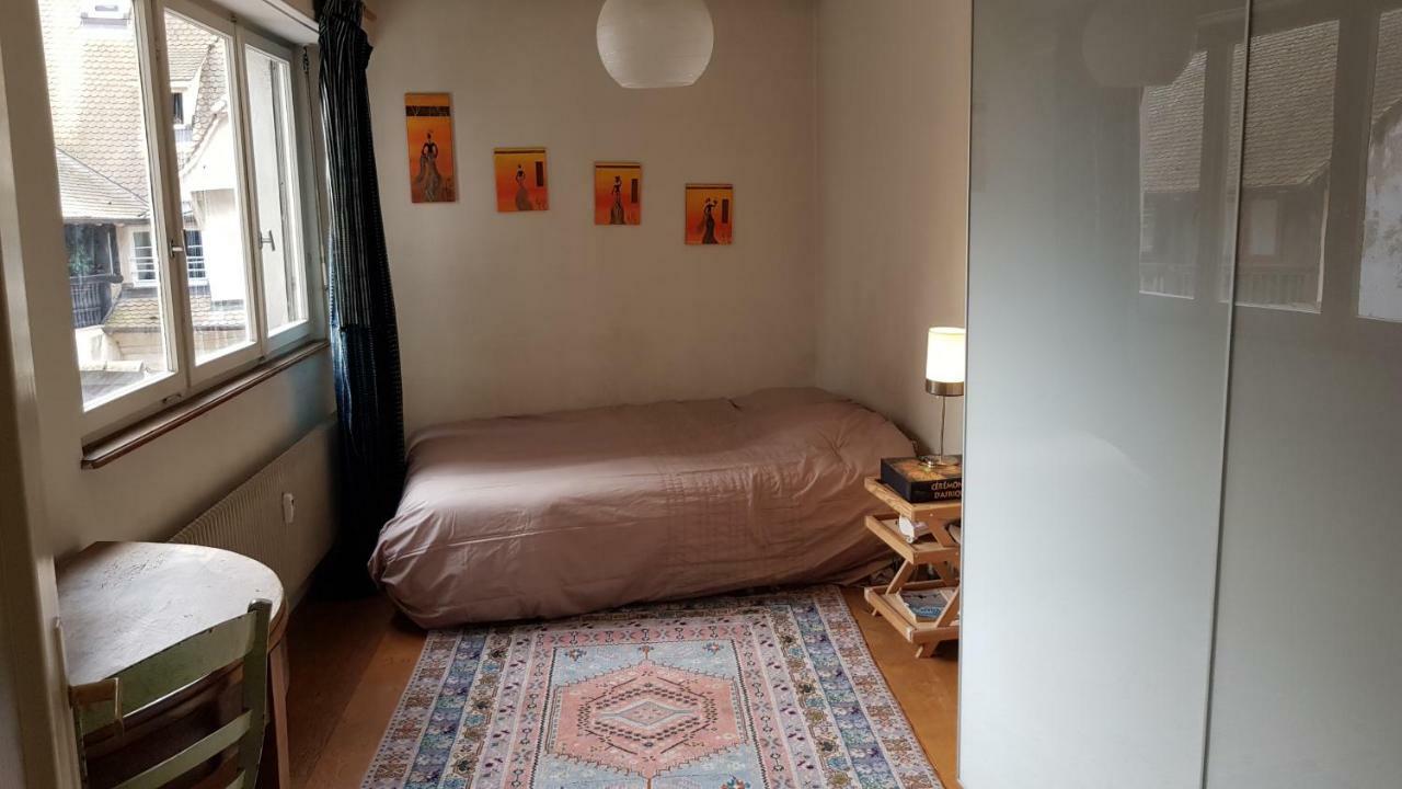Apartmán La Puisatiere 80 M2 Štrasburk Exteriér fotografie