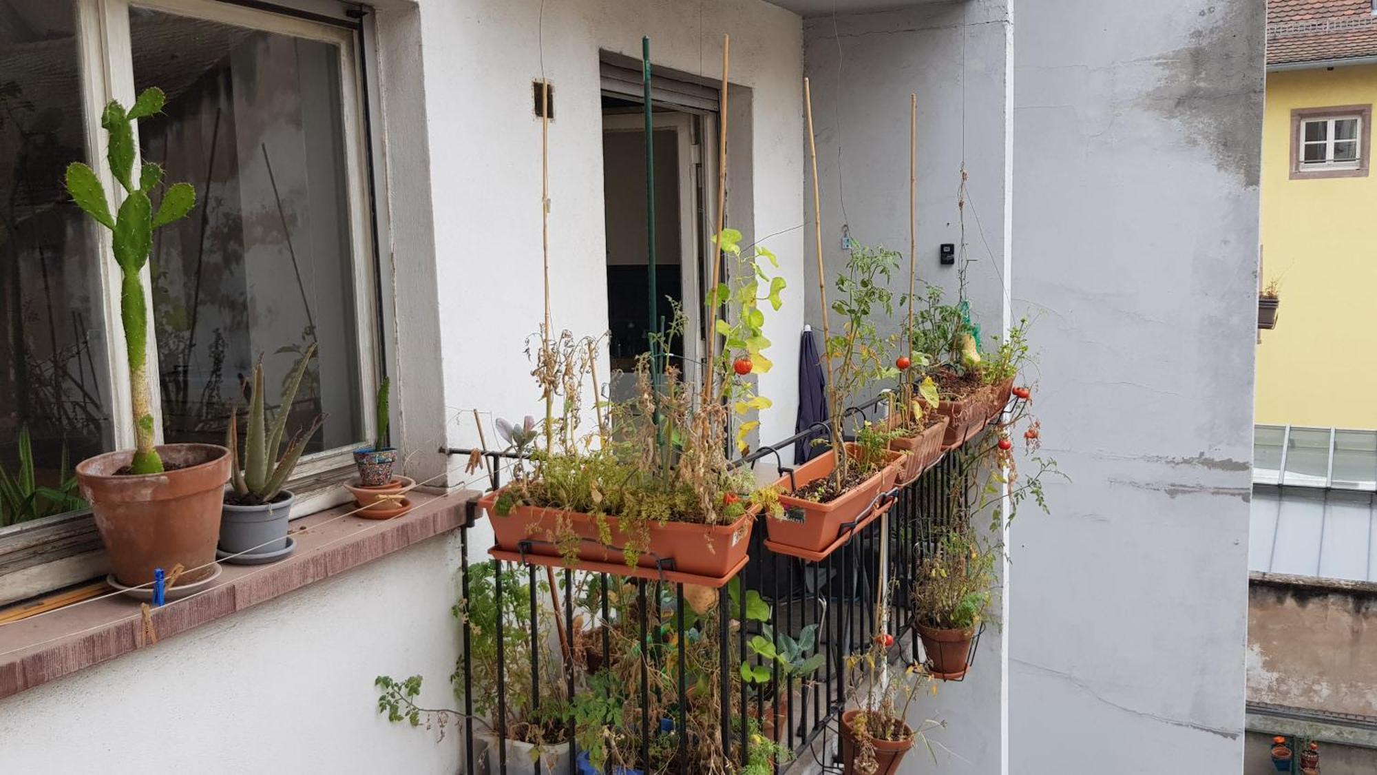 Apartmán La Puisatiere 80 M2 Štrasburk Exteriér fotografie